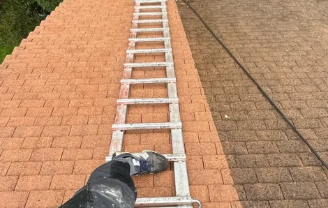 Nettoyage toiture Maule 78580