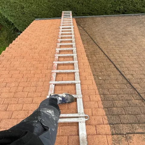 nettoyage toiture maule 78