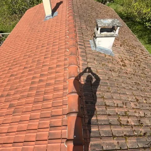 demoussage toiture maule
