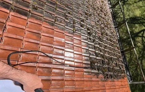 Démoussage toiture Maule 78580